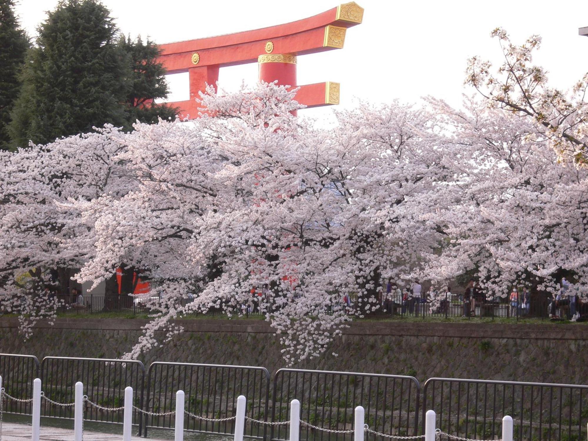 Kyoto Travellers Inn — Photos 2